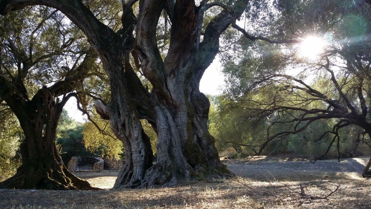 Il Giardino All'Angolo Villacidro エクステリア 写真